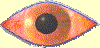 glaucoma_eye_small.gif (3219 バイト)